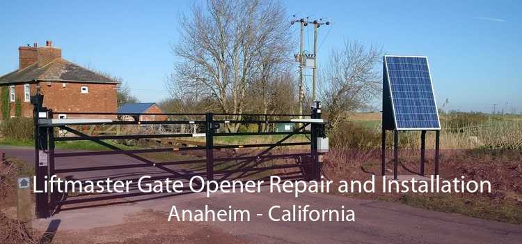 Liftmaster Gate Opener Repair and Installation Anaheim - California