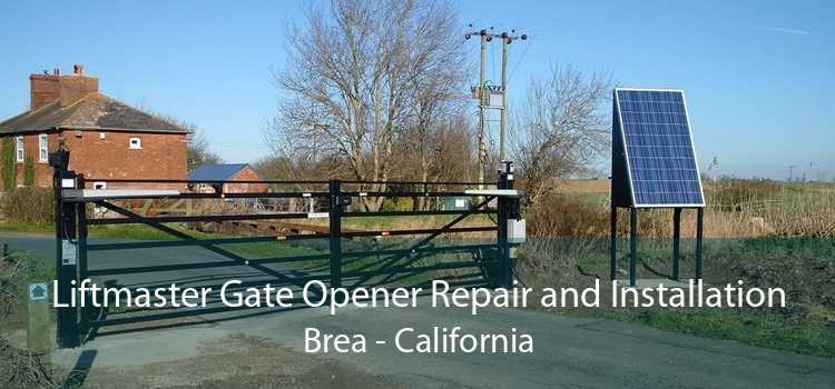 Liftmaster Gate Opener Repair and Installation Brea - California
