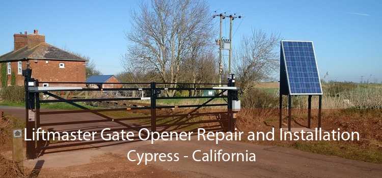 Liftmaster Gate Opener Repair and Installation Cypress - California