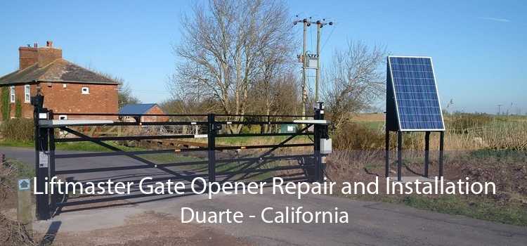 Liftmaster Gate Opener Repair and Installation Duarte - California