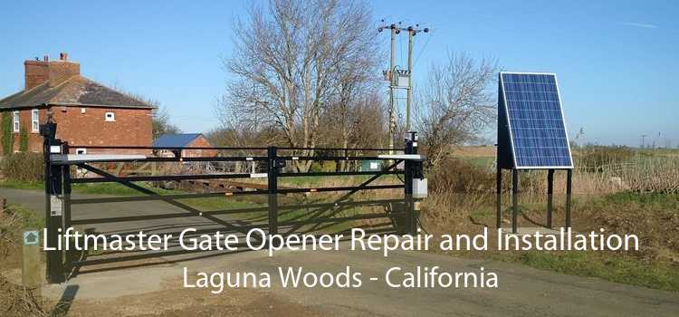 Liftmaster Gate Opener Repair and Installation Laguna Woods - California