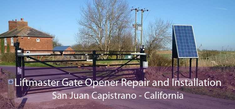 Liftmaster Gate Opener Repair and Installation San Juan Capistrano - California
