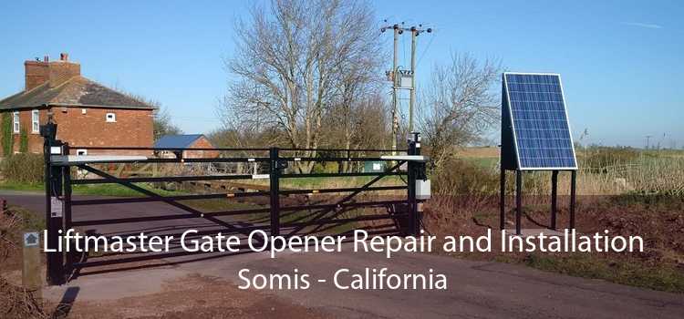 Liftmaster Gate Opener Repair and Installation Somis - California