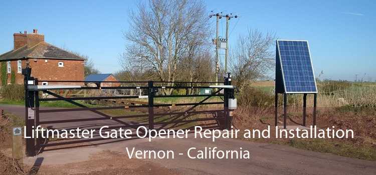 Liftmaster Gate Opener Repair and Installation Vernon - California