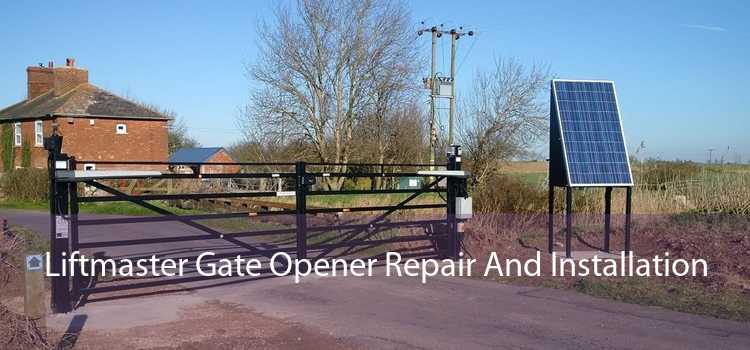 Liftmaster Gate Opener Repair And Installation 