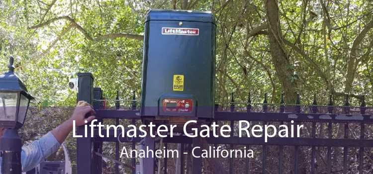 Liftmaster Gate Repair Anaheim - California