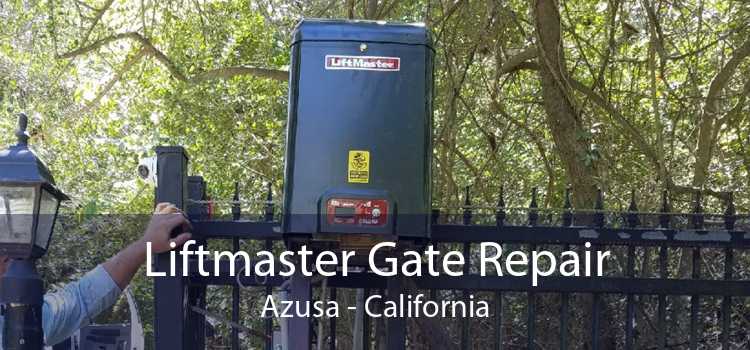 Liftmaster Gate Repair Azusa - California