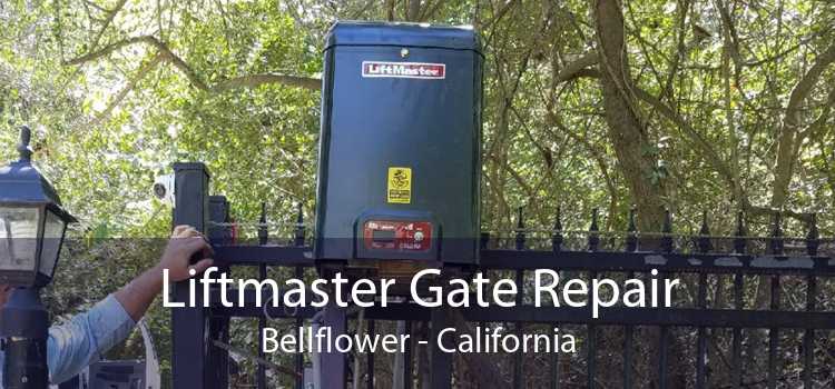 Liftmaster Gate Repair Bellflower - California