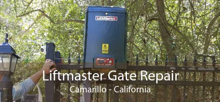 Liftmaster Gate Repair Camarillo - California