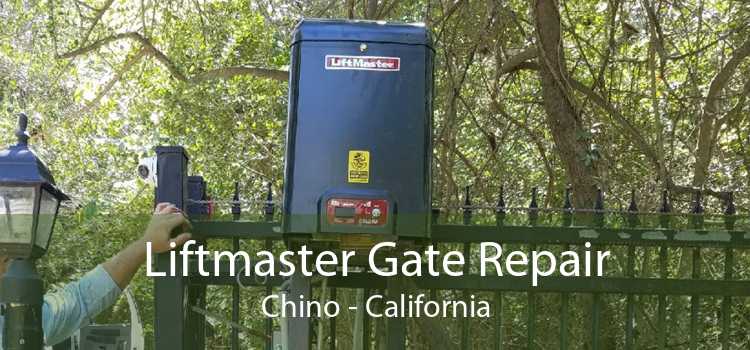 Liftmaster Gate Repair Chino - California