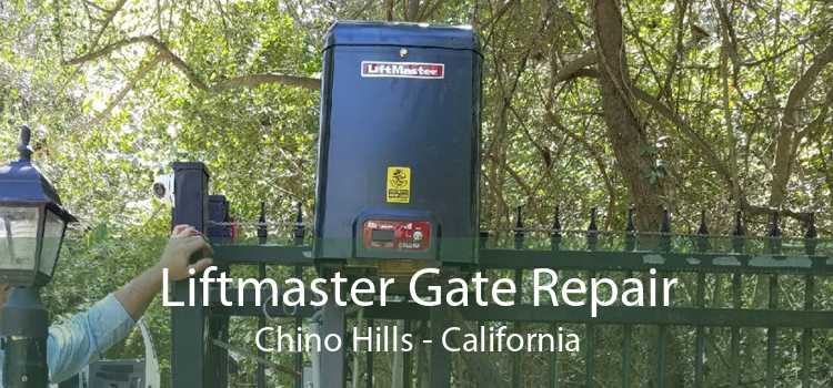 Liftmaster Gate Repair Chino Hills - California