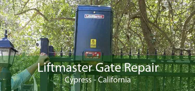 Liftmaster Gate Repair Cypress - California