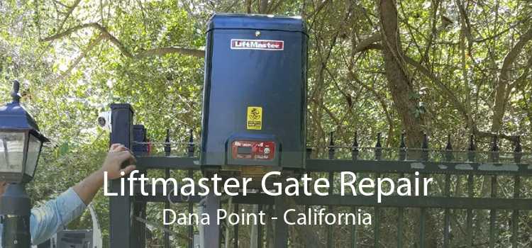 Liftmaster Gate Repair Dana Point - California
