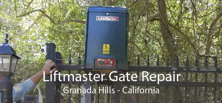 Liftmaster Gate Repair Granada Hills - California
