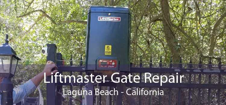 Liftmaster Gate Repair Laguna Beach - California