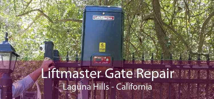 Liftmaster Gate Repair Laguna Hills - California
