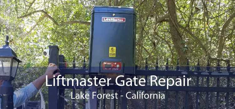 Liftmaster Gate Repair Lake Forest - California