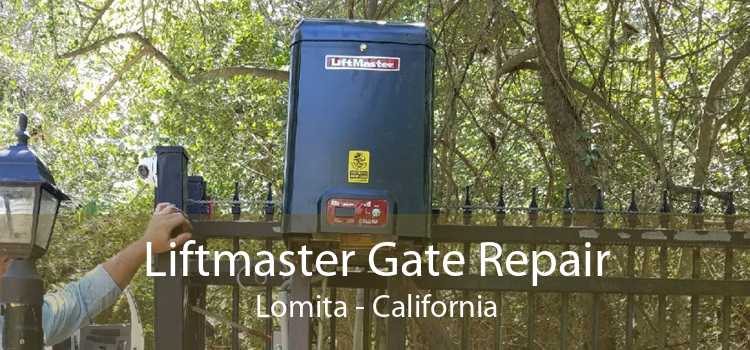 Liftmaster Gate Repair Lomita - California