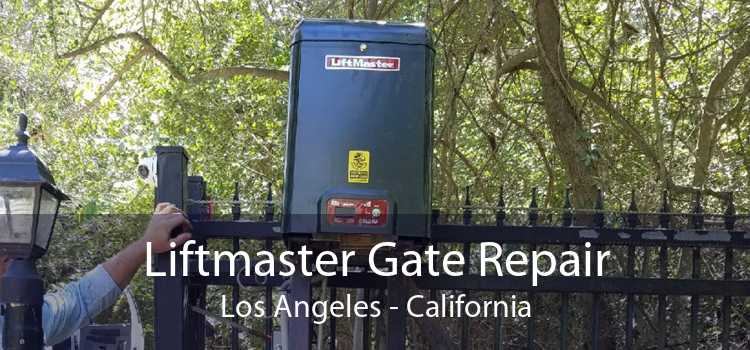 Liftmaster Gate Repair Los Angeles - California