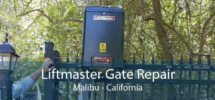 Liftmaster Gate Repair Malibu - California