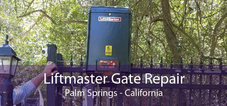 Liftmaster Gate Repair Palm Springs - California