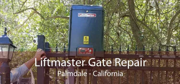 Liftmaster Gate Repair Palmdale - California