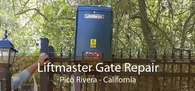 Liftmaster Gate Repair Pico Rivera - California