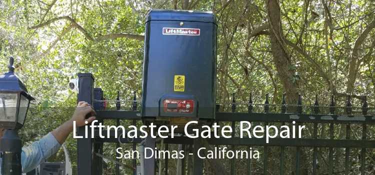 Liftmaster Gate Repair San Dimas - California