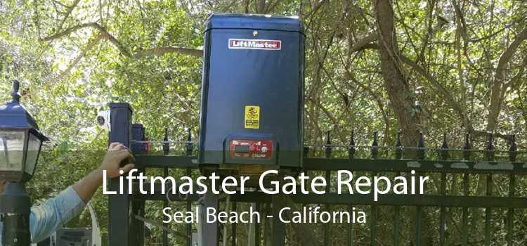 Liftmaster Gate Repair Seal Beach - California