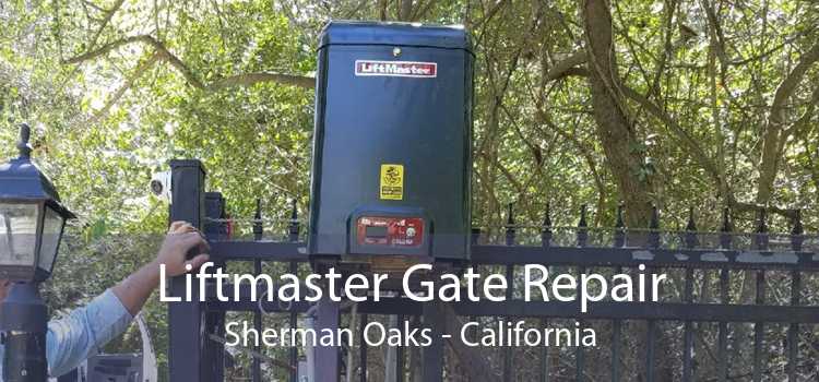 Liftmaster Gate Repair Sherman Oaks - California