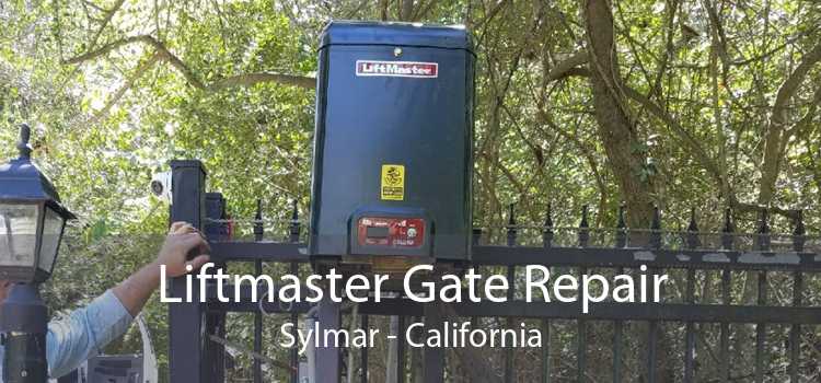 Liftmaster Gate Repair Sylmar - California