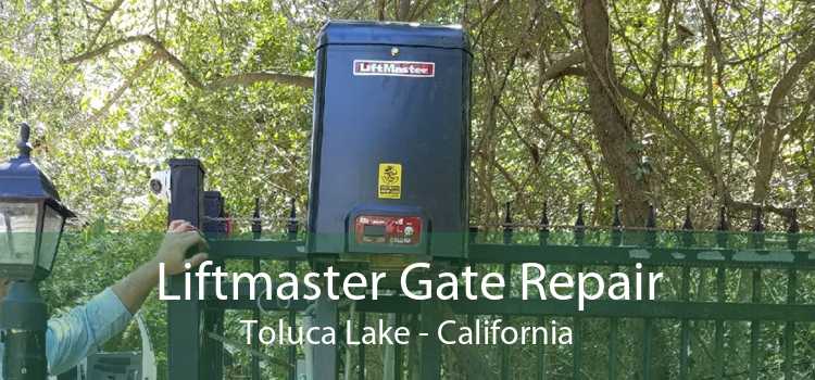 Liftmaster Gate Repair Toluca Lake - California