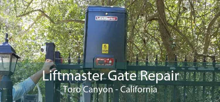 Liftmaster Gate Repair Toro Canyon - California