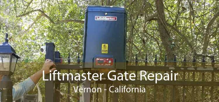 Liftmaster Gate Repair Vernon - California