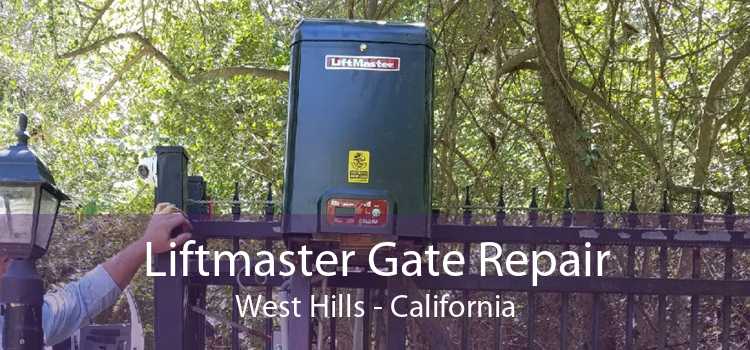 Liftmaster Gate Repair West Hills - California