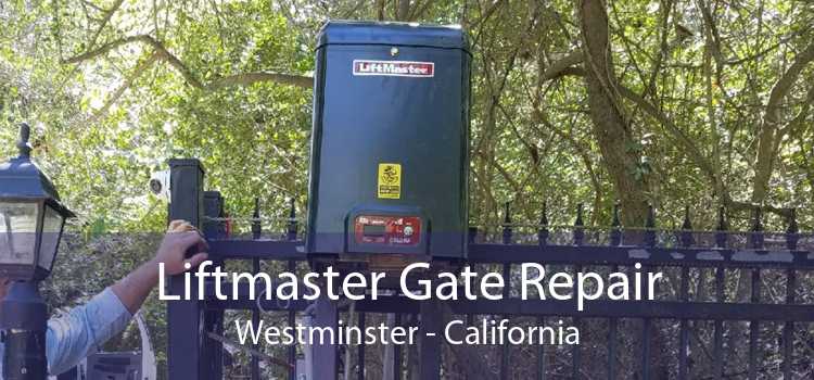 Liftmaster Gate Repair Westminster - California