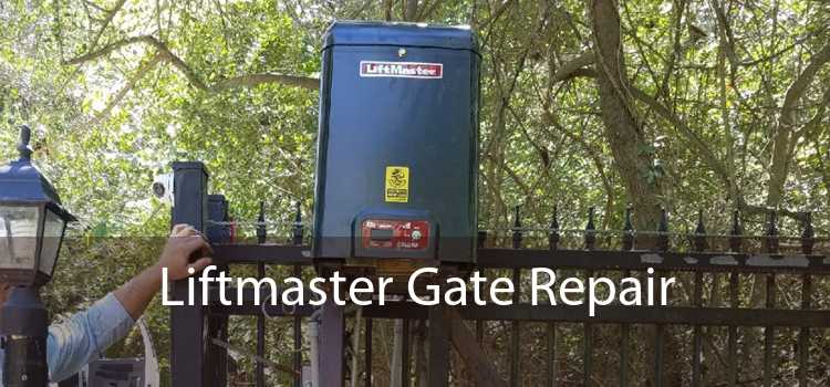 Liftmaster Gate Repair 