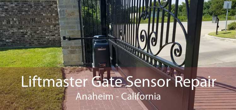 Liftmaster Gate Sensor Repair Anaheim - California