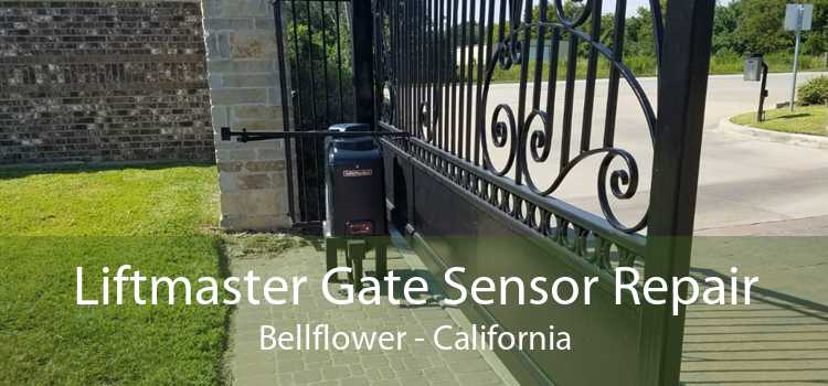 Liftmaster Gate Sensor Repair Bellflower - California