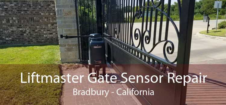 Liftmaster Gate Sensor Repair Bradbury - California