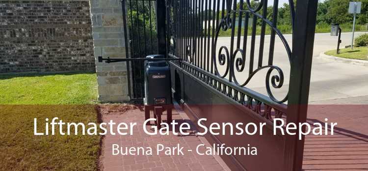 Liftmaster Gate Sensor Repair Buena Park - California
