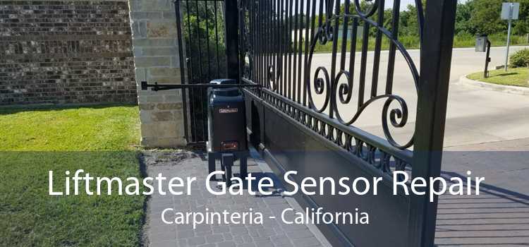 Liftmaster Gate Sensor Repair Carpinteria - California