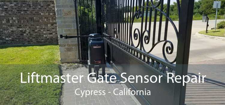 Liftmaster Gate Sensor Repair Cypress - California