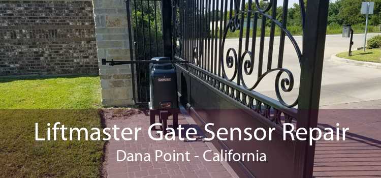 Liftmaster Gate Sensor Repair Dana Point - California