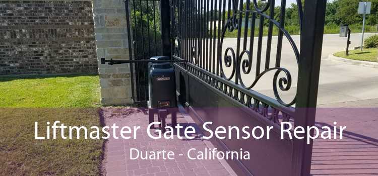Liftmaster Gate Sensor Repair Duarte - California