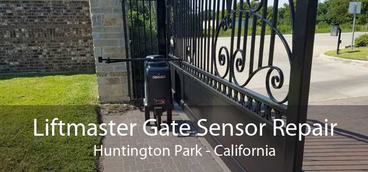 Liftmaster Gate Sensor Repair Huntington Park - California