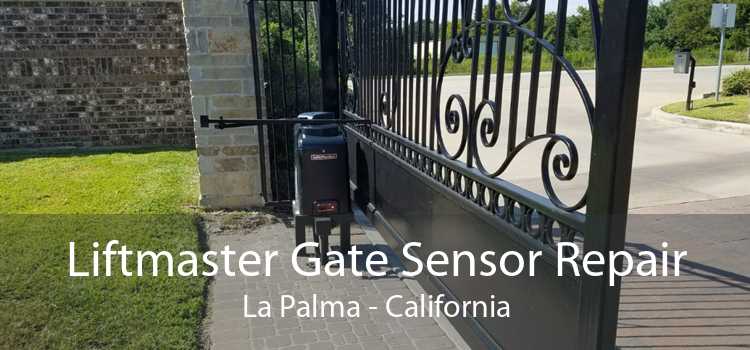 Liftmaster Gate Sensor Repair La Palma - California