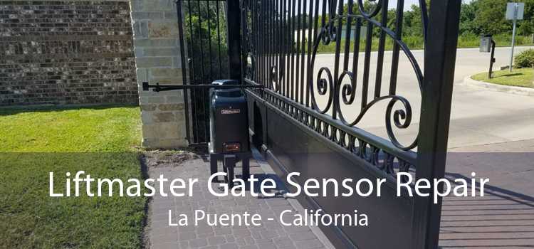 Liftmaster Gate Sensor Repair La Puente - California