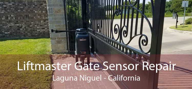 Liftmaster Gate Sensor Repair Laguna Niguel - California