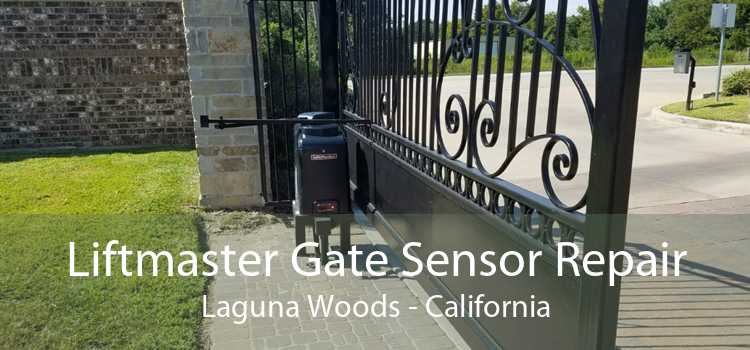 Liftmaster Gate Sensor Repair Laguna Woods - California